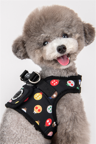 Lady Beetle Harness B Köpek Göğüs Tasması Siyah