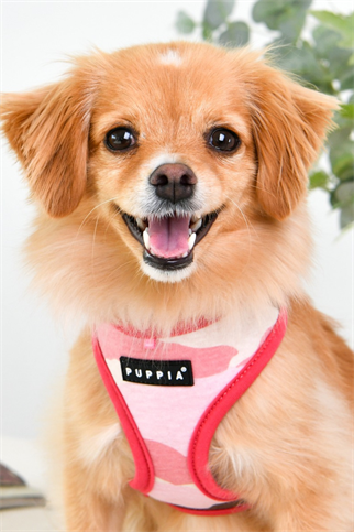 Lance Harness B Köpek Göğüs Tasması Pembe Kamuflaj 