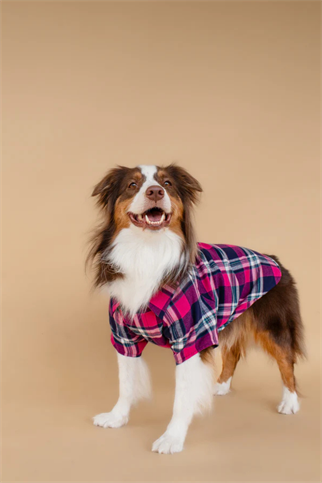 Asky&Erd Plaid Shirt Midnight Berry