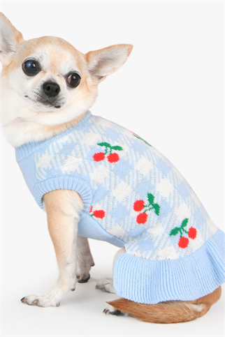 Puppia Rio Örgü Köpek Elbisesi Mavi