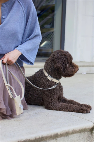 Zoe Pet Atelier Dışkı Poşeti Çantası - Fildişi Bej