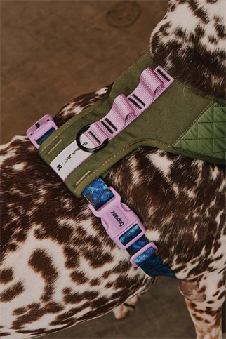 Zee.Dog Reebok x Zee.Dog Trekk Air Mesh Göğüs Tasması