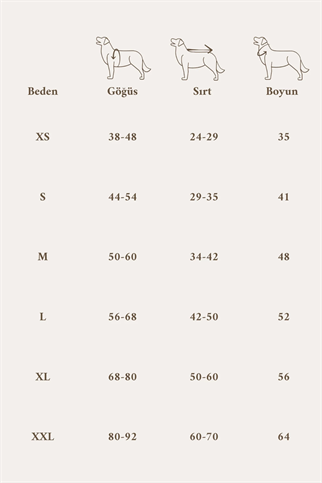 Seattle Raincoat | Amber Glow