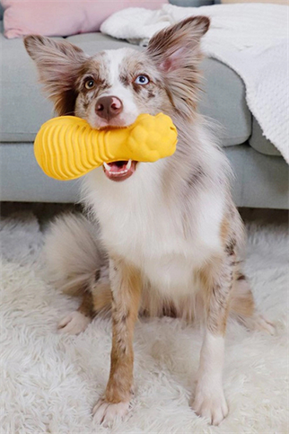 Gigwi Aslan Başlı Dambıl Köpek Oyuncağı 17cm (Sarı) [M]