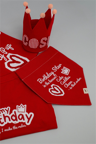 Asky&Erd Köpek Bandana | It’s My Birthday Kırmızı