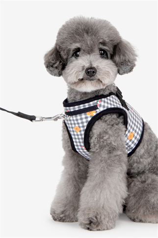 Baba Harness B Köpek Göğüs Tasması Siyah 