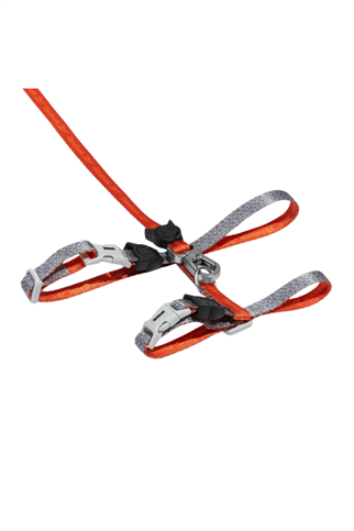 Zee.Dog Reebok x Zee.Dog Suede Kedi Tasması ve Gezdirme Seti