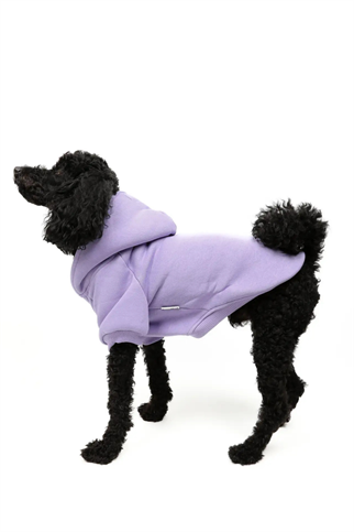 Goodboi Köpek Hoodie Lila