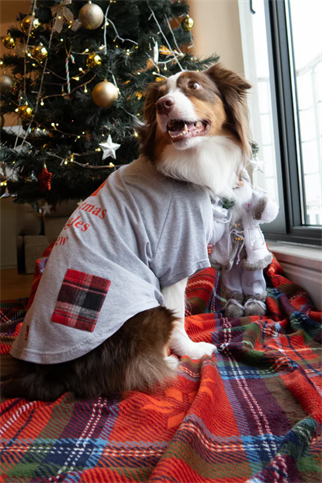 Asky And Erd Christmas Snuggles Crew Tshirt Winter Fog