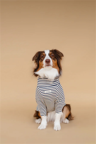 Asky&Erd Turtleneck Tshirt | Coastal Navy