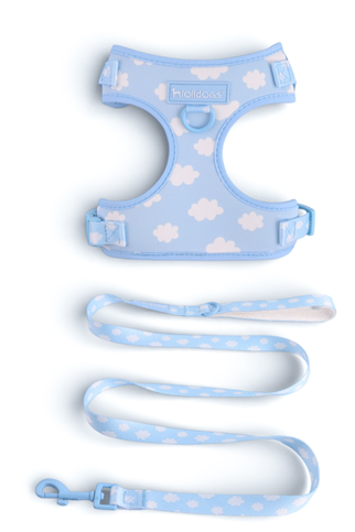 Lolidogs Köpek Göğüs Tasması ve Kayış Seti | Cloud
