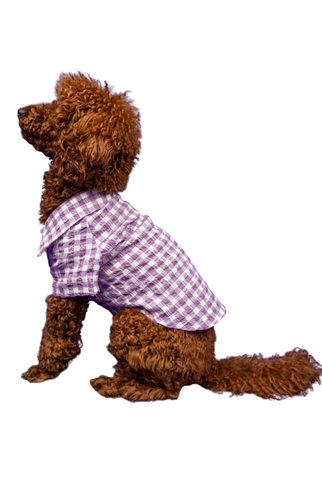 Goodboi Pötikareli Mor Gofre Gömlek