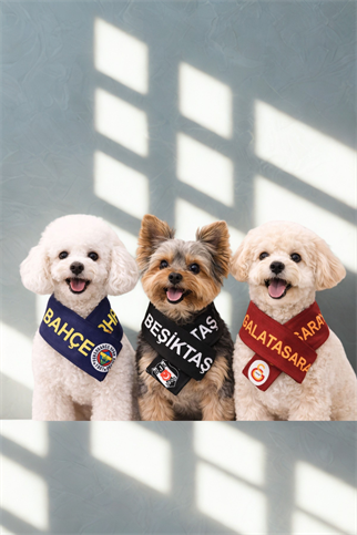 Alphadog Fenerbahçe Küçük Irk Köpek Atkısı