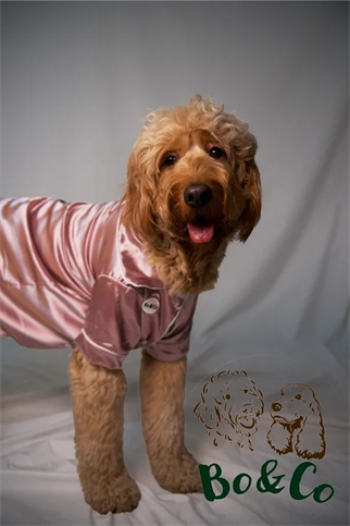 Bo&Co Pembe Saten Pijama