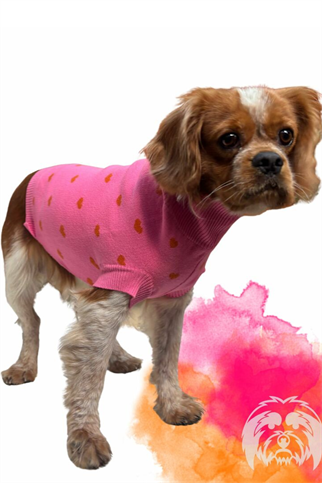 Suchkin Pink (New) Köpek Kazağı