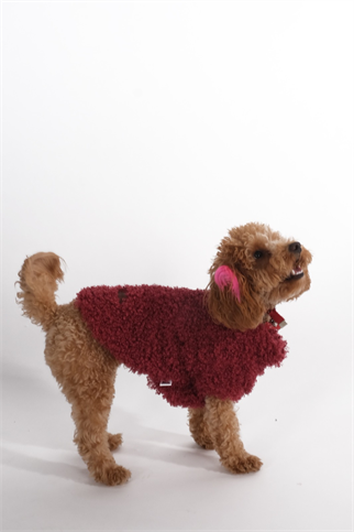 Doredog Kıvırcık Peluş Bordo Mont