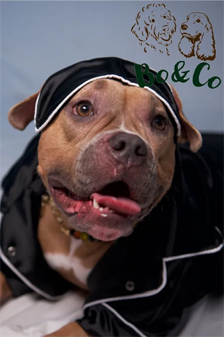 Bo&Co Siyah Saten Pijama