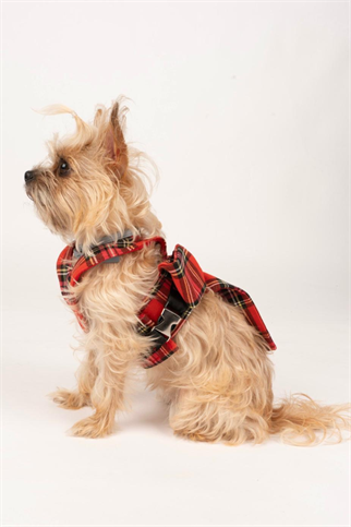 Doredog Fiyonklu Ekoseli Köpek Tasma 