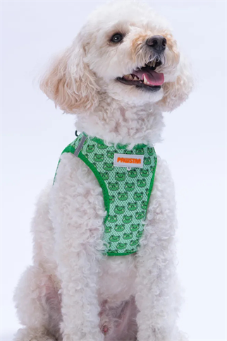 PawStar Frog Köpek Göğüs Tasması Yeşil