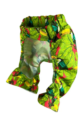 Ziggy Dog Papağanlı Köpek Mayosu