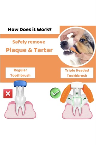 Our Dogs Life Dental Care Kit Köpek Diş Bakım Seti