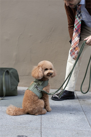 Zoe Pet Atelier Vest Harness Köpek Göğüs Tasması Seti Haki Yeşil