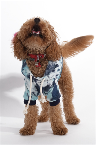 Doredog mavi batik desenli sweat