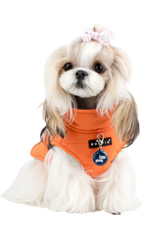 Puppia Mountaineer II Köpek Montu Turuncu