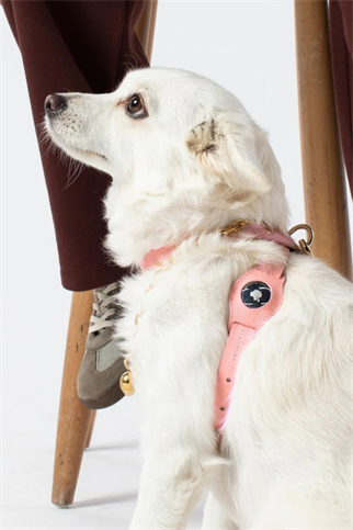 Zoe Pet Atelier Air Tag Kılıfı - Şeker Pembe