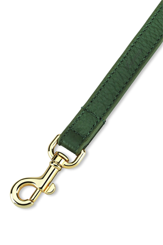 Grand Monarch Viridis Köpek Gezdirme Kayışı