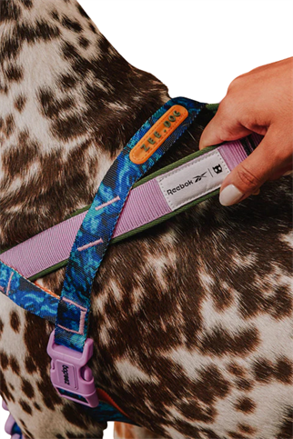 Zee.Dog Reebok x Zee.Dog Trekk Softer Walk Göğüs Tasması