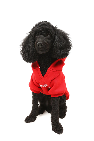 Goodboi Köpek Hoodie Kırmızı