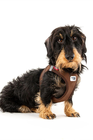 CURLI VEST HARNESS CURLI CLASP SOFTSHELL BROWN