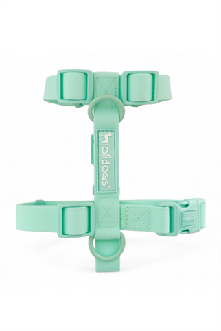 Lolidogs Dream Collection | Köpek Göğüs Tasması Minty