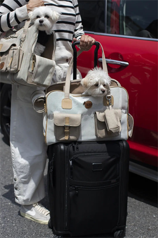 Bonchic boncoco Carrier Beige Taşıma Çantası 