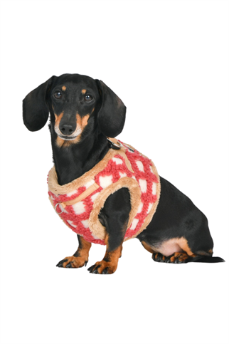 Puppia Stefan  Köpek Göğüs Tasması - Mercan