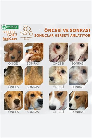Nature’s Protection Superior Care Kızıl Tüylü Köpekler İçin Somonlu Hipoalerjenik & Bağırsak Destekli Köpek Ödülü
