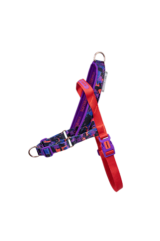 Zee.Dog Reebok x Zee.Dog Court Softer Walk Göğüs Tasması