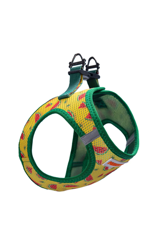 PawStar Watermelon Köpek Göğüs Tasması Sarı