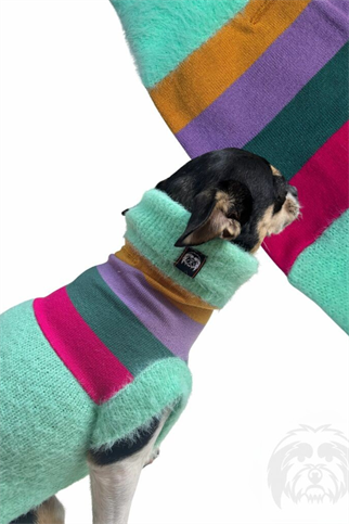 Suchkin Bloom (New) Köpek Kazağı