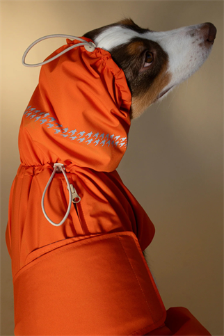 Seattle Raincoat | Amber Glow