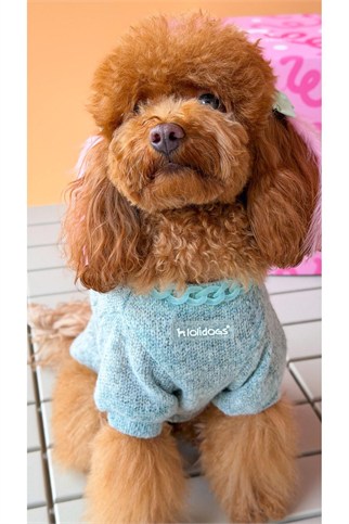 Lolidogs Köpek Işıltılı Triko Glimmer
