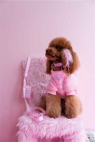 Lolidogs Köpek Göğüs Tasması ve Kayış Seti | Picnic