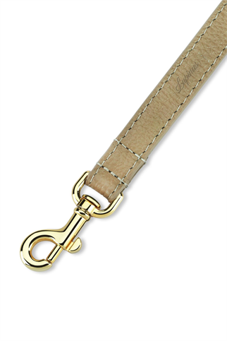 Monarch Byssus Köpek Gezdirme Kayışı