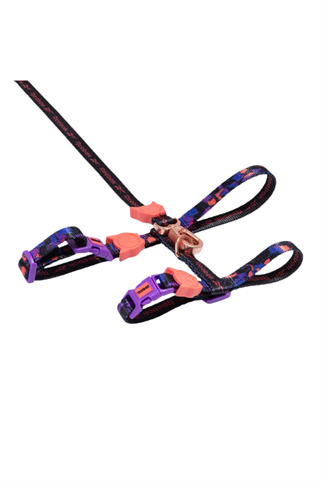 Zee.Dog Reebok x Zee.Dog Court Kedi Tasması ve Gezdirme Seti