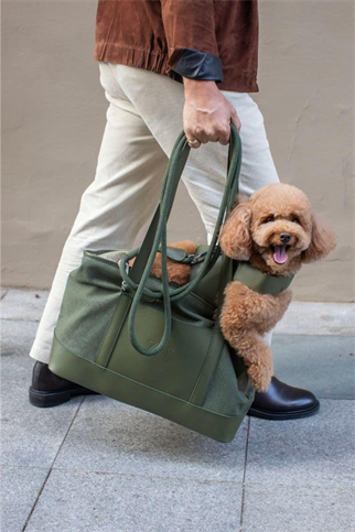 Zoe Pet Atelier City Carrier Köpek Taşıma Çantası Haki Yeşil
