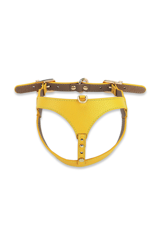 Lupinus Atelier Cavalier Flavus x Yaga Köpek Göğüs Tasması Sarı