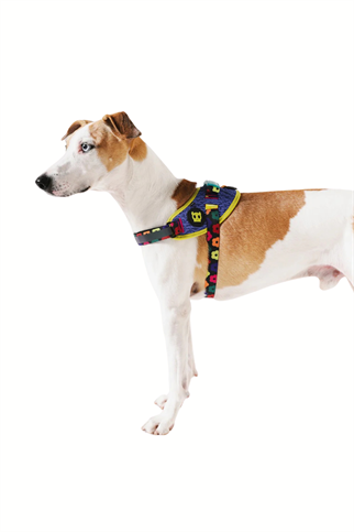 Zee.Dog Samba Flyharness Köpek Göğüs Tasması - FARM Rio