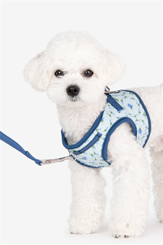 Florian Harness B Köpek Göğüs Tasması Mavi