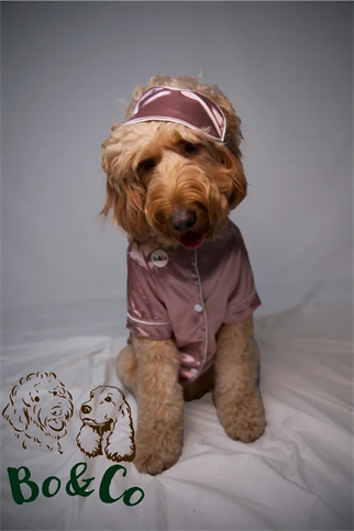 Bo&Co Pembe Saten Pijama